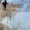 В Красноярском крае загорелась трава на заброшенном поле. Огонь зашел в лес