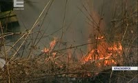 Виктор Толоконский провел совещание по ситуации с пожарами, возникающими из-за горящей травы