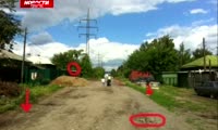 В Николаевке орудует живодер, который мучает и потрошит кошек - Новости - Прима