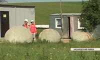 В Назаровском районе обнаружили затвердевшие шары высотой в половину человеческого роста