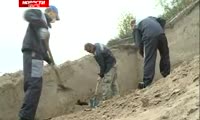 В Красноярске нашли древние останки