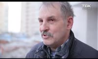 «Коряги и пеньки»: как в Красноярске обрезают деревья