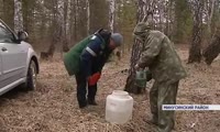 На юге Красноярского края собирают первый берёзовый сок