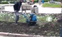Жители Красноярска возмутились перекапыванием клумбы с тюльпанами 