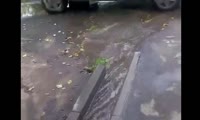 Потоп на ул. 26 Бакинских Комиссаров