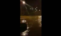 Наводнение в Зеленогорске