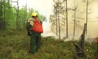 Лесной пожар в заповеднике Тунгусский