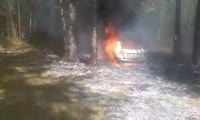 Из-за разбившейся на Каштаке машины в Красноярске загорелся лес