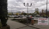 У здания правительства в центре Красноярска вырубили многолетние ели. Их уже заменяют новыми