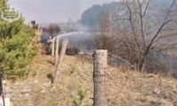 Пожар на ачинском кладбище
