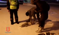 На севере Красноярского края полицейские изъяли незаконно выловленного сибирского осетра