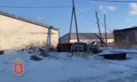 В Красноярске возбуждено уголовное дело в отношении фермера, незаконно получившего сельскохозяйственную субсидию