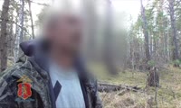 «Черные лесорубы» в Красноярском крае спилили деревьев на 77 миллионов рублей