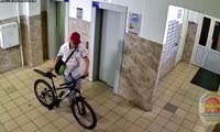 Кража велосипеда из подъезда в Красноярске 
