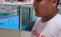 Пранкер из Тувы влез в аквариум в гипермаркете «Окей» в красноярской «Планете»
