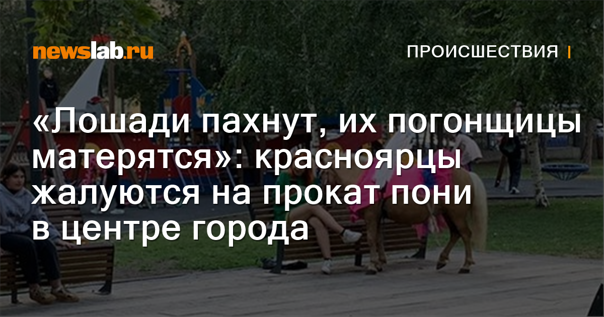 «Лошади пахнут, их погонщицы матерятся»: красноярцы жалуются на прокат ...