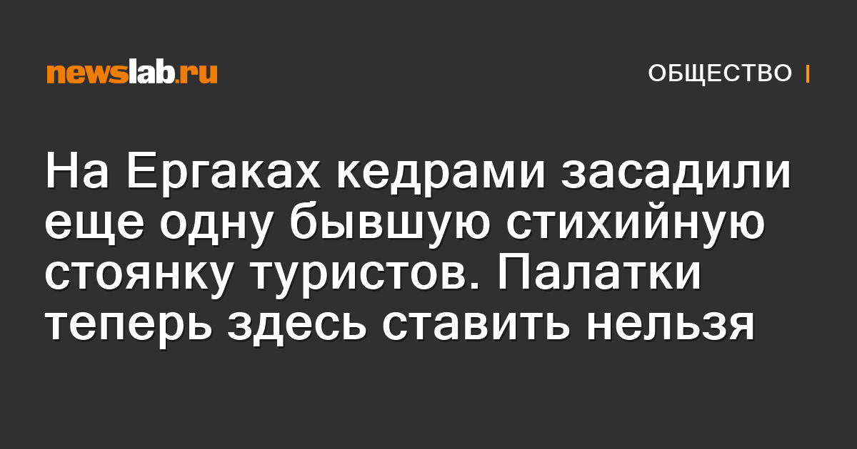 На Ергаках кедрами засадили еще одну бывшую стихийную стоянку туристов ...