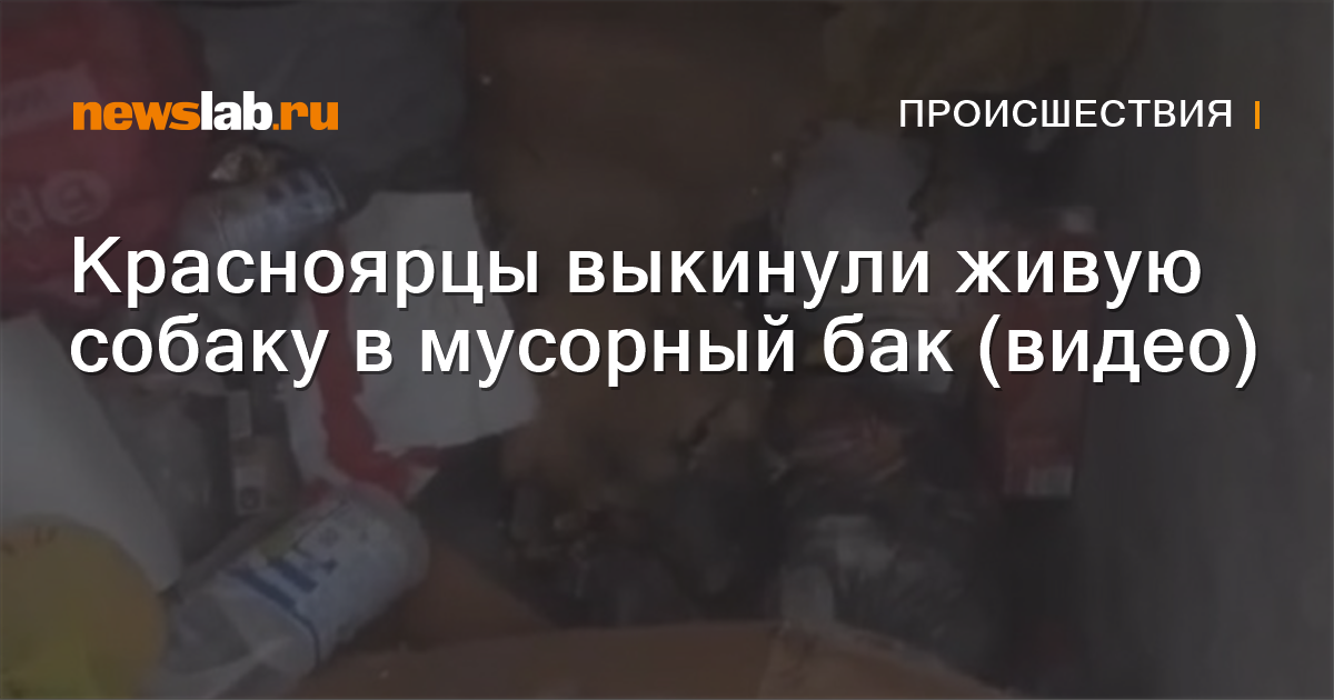 Порно Секс в живую. Смотреть видео Секс в живую онлайн