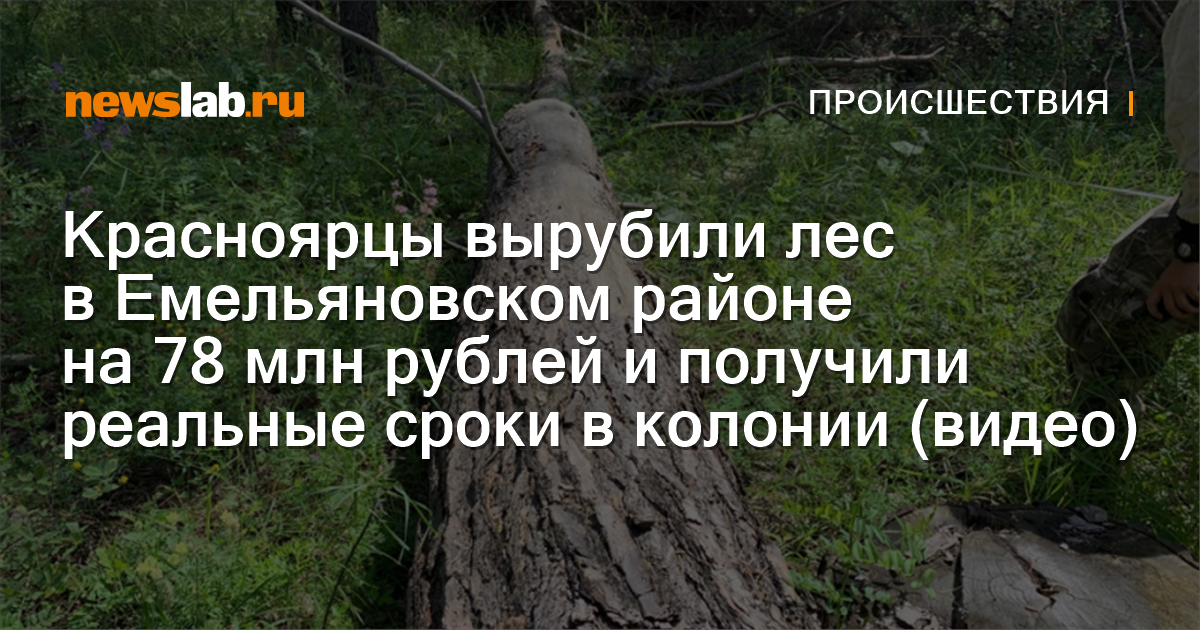 Реальный секс в публичном лесу! Было действительно опасно и очень приятно - pornerys.ru