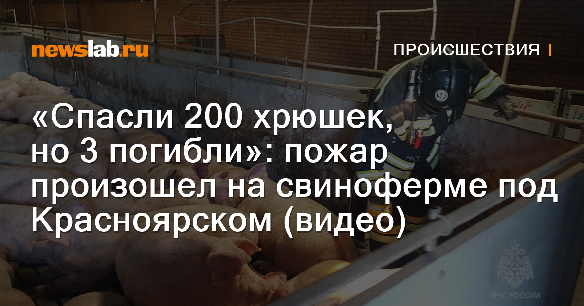 Секс в деревне на ферме - 3000 xXx видосов схожих с запросом