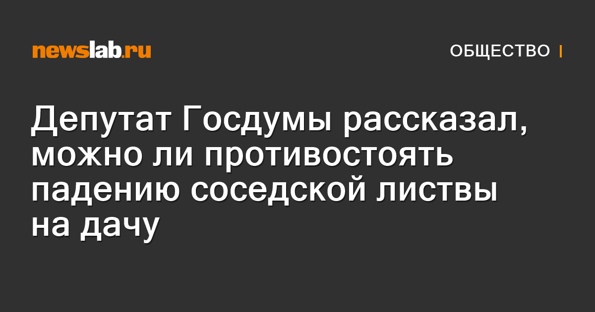 Депутат Госдумы рассказал, можно ли противостоять падению соседской ...