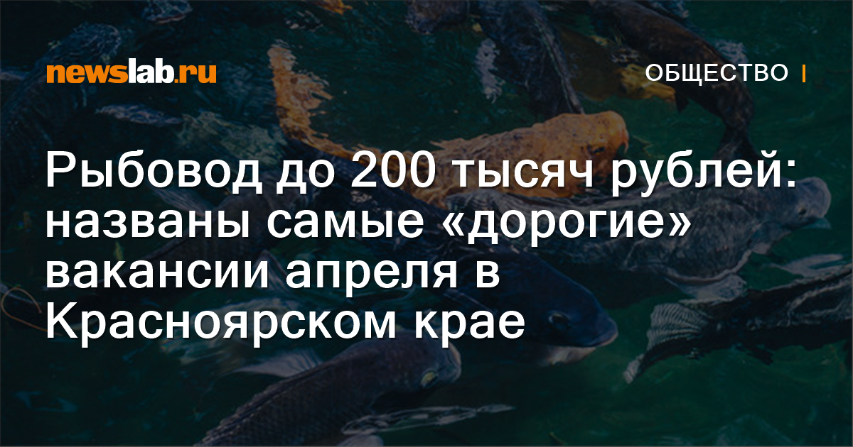 Рыбовод до 200 тысяч рублей: названы самые «дорогие» вакансии апреля в