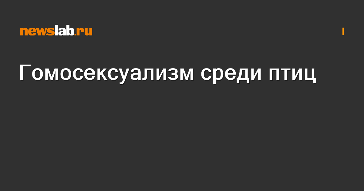 Яйцо инкубационное индейки Бронзовая Северокавказская на складе в Москве