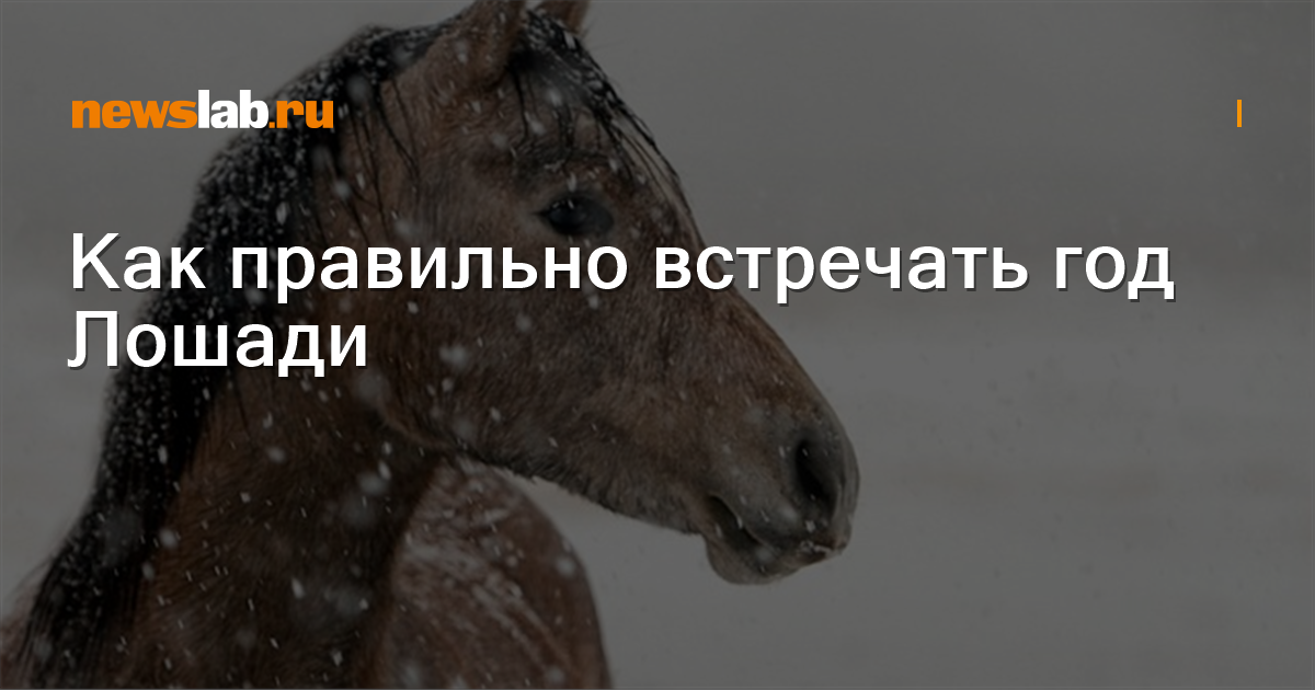 В Новый год на Русской тройке! Интерактивная программа на ферме мини-лошадей
