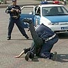 В Красноярске осуждены очередные убийцы таксистов