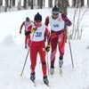 На открытый кубок Хакасии по лыжным гонкам вышли медведи