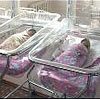 В Красноярске за год родилось более 12 тысяч детей