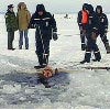 В Хакасии под лед ушел автомобиль с людьми, есть жертвы