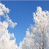 Морозы в Красноярске будут стоять всю неделю