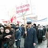 Красноярцы устроят митинг у мэрии из-за вырубки Березовой рощи
