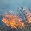 Красноярцам грозят крупные штрафы за поджоги сухой травы
