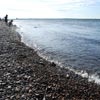 Вода Красноярского моря не соответствует санитарным требованиям