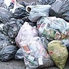 Красноярские чиновники считают, что горожане слишком много мусорят