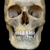 Житель Хакасии обнаружил в собственном огороде скелет человека