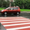 В Красноярске на дороге появилась красно-белая зебра (фото)