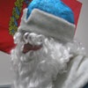 Главный красноярский Дед Мороз послал вице-мэра в лес (фото)