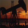 На Ванкорском месторождении выполнен годовой план добычи нефти
