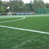 Для развития футбольного клуба «Енисей» купили 5 полей с искусственным покрытием 