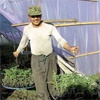 В Березовке придумали новый способ в обход закона растить овощи в китайских теплицах
