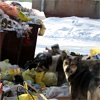 Жителям Свердловского района предложили выбрать места для мусорных контейнеров