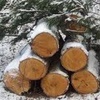 Рубку и отгрузку леса в Красноярском крае будут контролировать в режиме онлайн