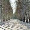 Первые дни декабря в Красноярске будут умеренно морозными