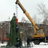 В Октябрьском районе Красноярска начали собирать новогоднюю елку