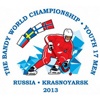 Для первенства мира по хоккею с мячом в Красноярске разработали логотип