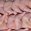 В Красноярске изъяли из оборота 66 тонн куриных окорочков