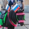 На Театральной площади Красноярска отпраздновали День флага